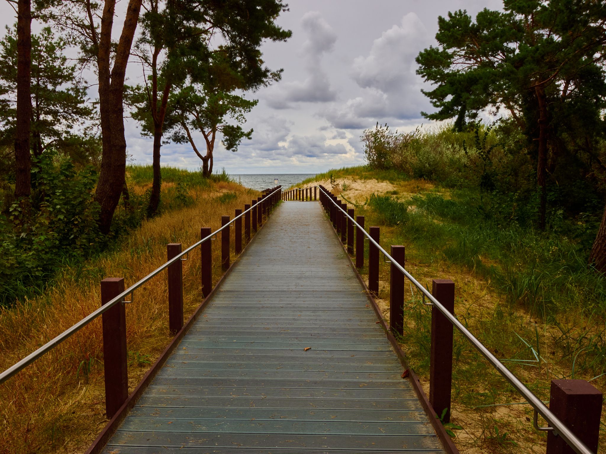 Landschaft 2024  1755 Usedom